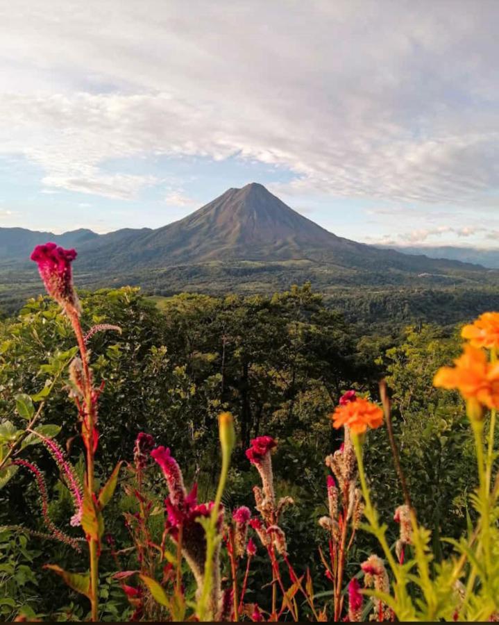 Las Pavitas Cottages La Fortuna Buitenkant foto