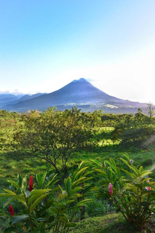 Las Pavitas Cottages La Fortuna Buitenkant foto